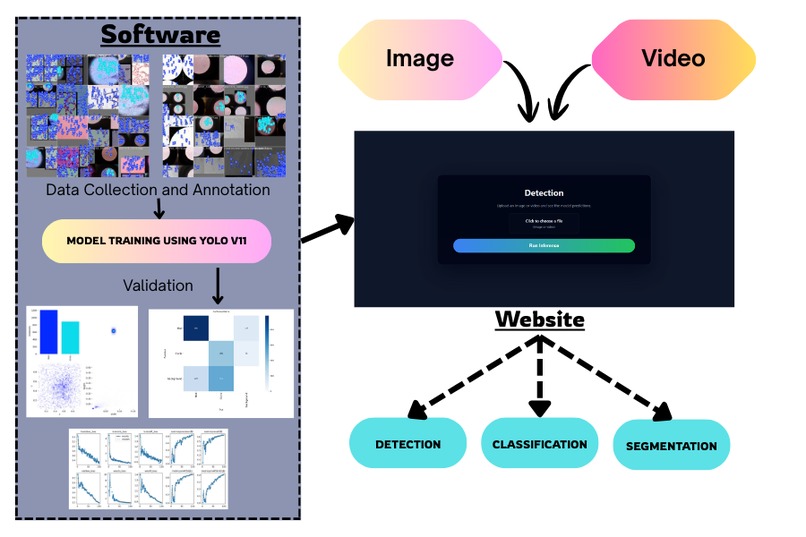BioVision AI – screenshot 2