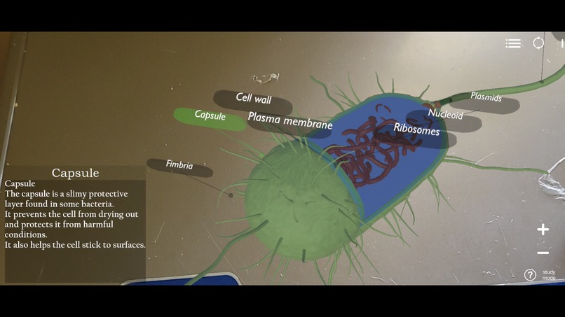 BioGaze – screenshot 4