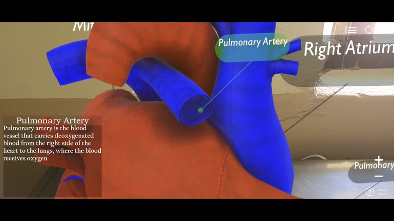 BioGaze – screenshot 5
