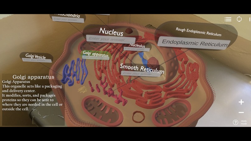 BioGaze – screenshot 3