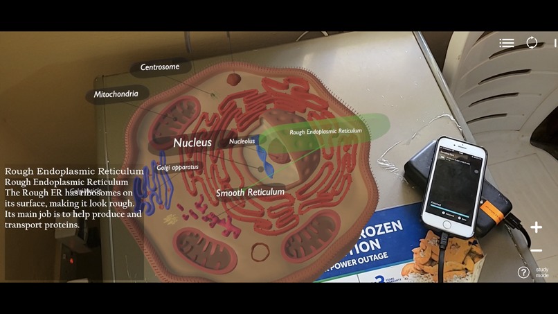 BioGaze – screenshot 1