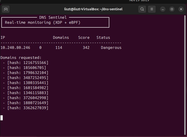 DNS-Sentinel – screenshot 1