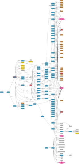 eBPF-Provenance-Analysis – screenshot 5