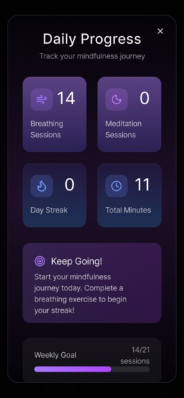 SeraFlow - Work & Meditation App – screenshot 7