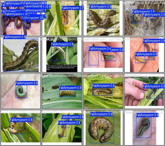 CropGuard – screenshot 1