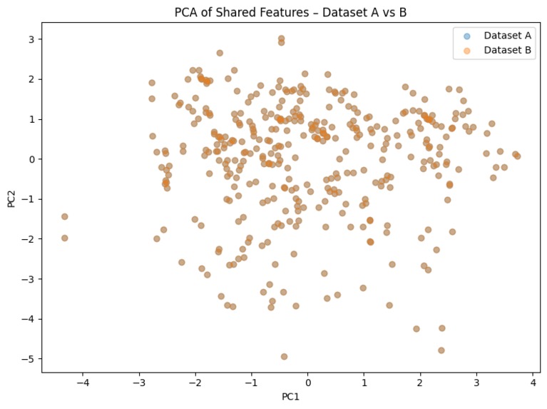 NeuroStack: Multi-View Alzheimer’s Detection – screenshot 2