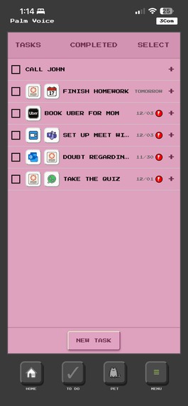 PalmVoice – screenshot 4