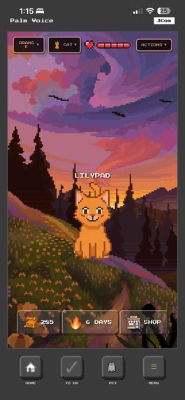 PalmVoice – screenshot 8