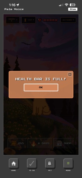 PalmVoice – screenshot 12