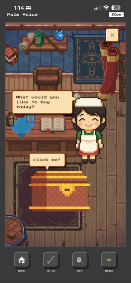 PalmVoice – screenshot 13