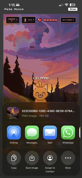 PalmVoice – screenshot 18