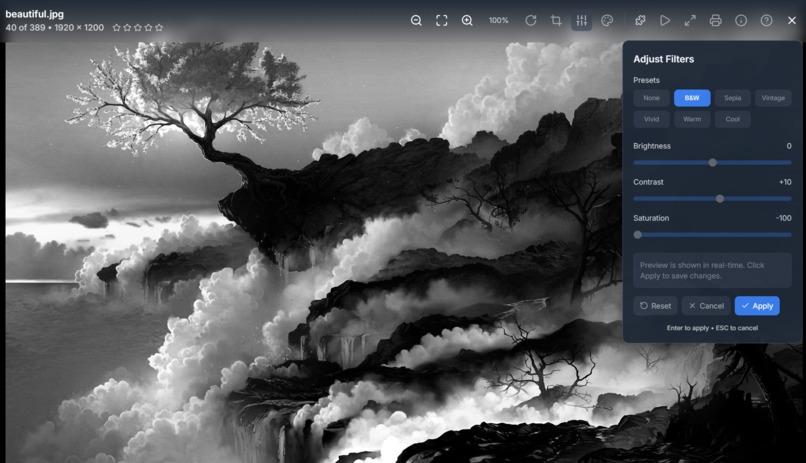 Picasera – screenshot 1