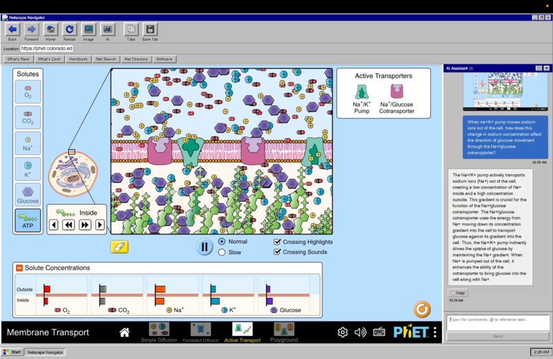 Netscape – screenshot 2