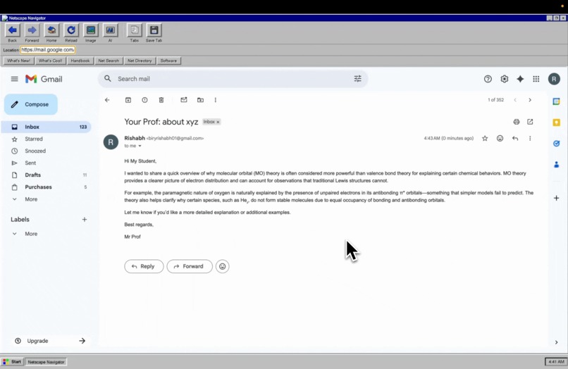 Netscape – screenshot 4