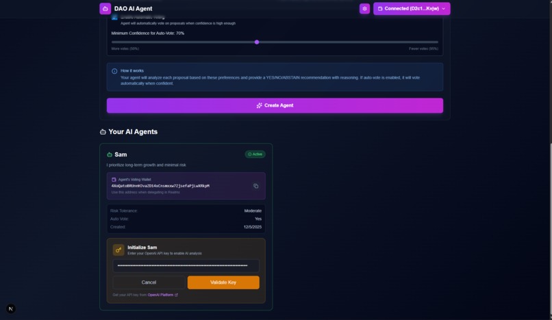 SolDAO Pilot – screenshot 3