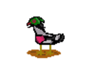 Bird Game 1