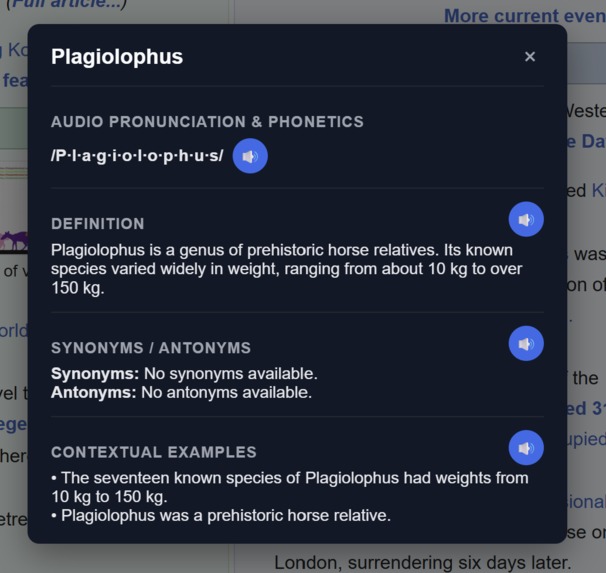 WordBuddy – screenshot 2