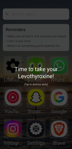 LifeGuide Launcher – screenshot 3