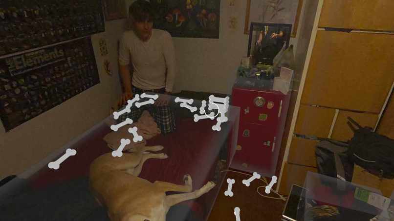 MetaPetz – screenshot 4