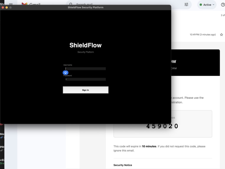 -SHIELD FLOW- – screenshot 2