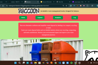 Raccoon