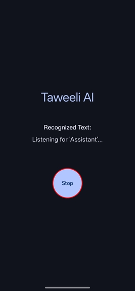 Taweeli  – screenshot 2