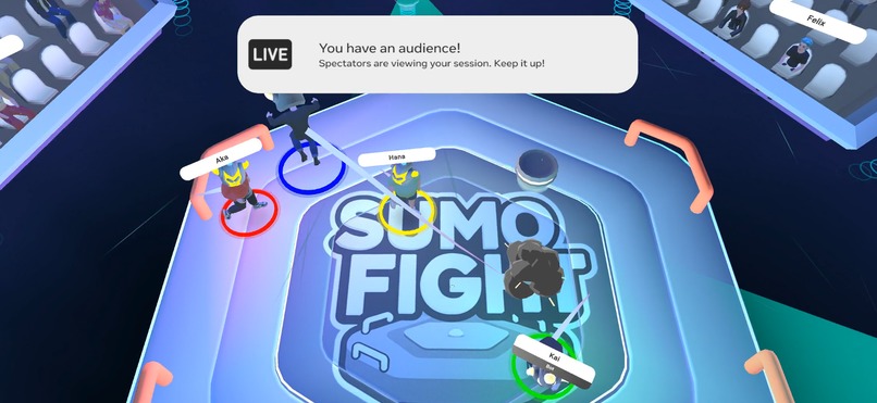 Sumo Fight – screenshot 6