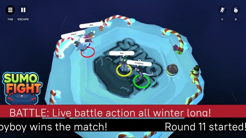 Sumo Fight – screenshot 2