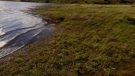 Soul Retreat: Meditate & Relax in Nature – screenshot 4