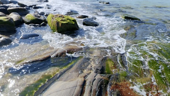 Soul Retreat: Meditate & Relax in Nature – screenshot 2