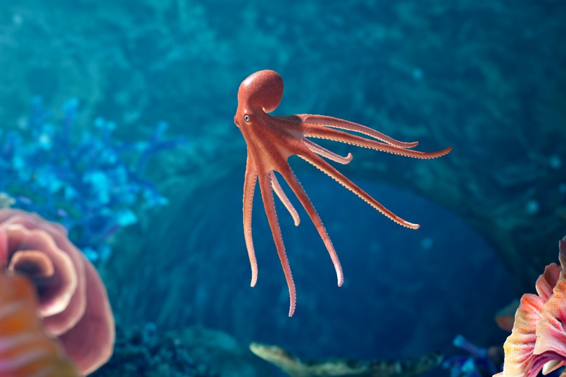 Rori's Garden – screenshot 1