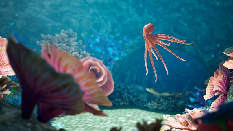 Rori's Garden – screenshot 2