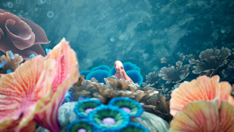 Rori's Garden – screenshot 3