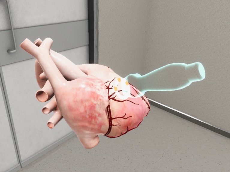 VR Echocardiography Training – screenshot 4