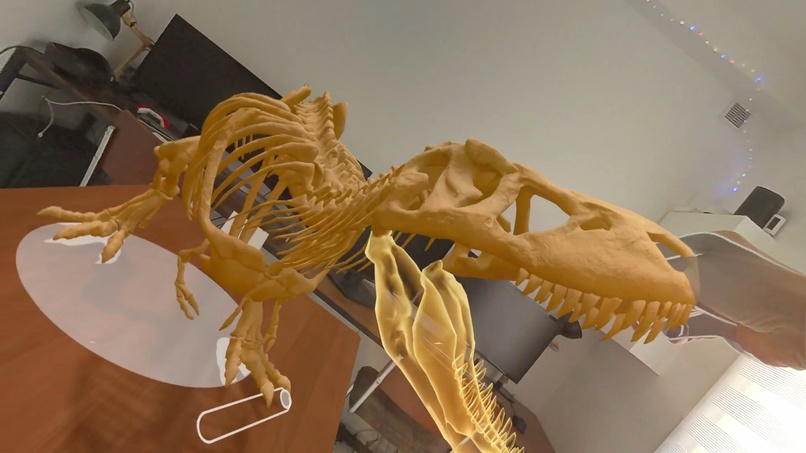 Le Dino Labo – screenshot 6