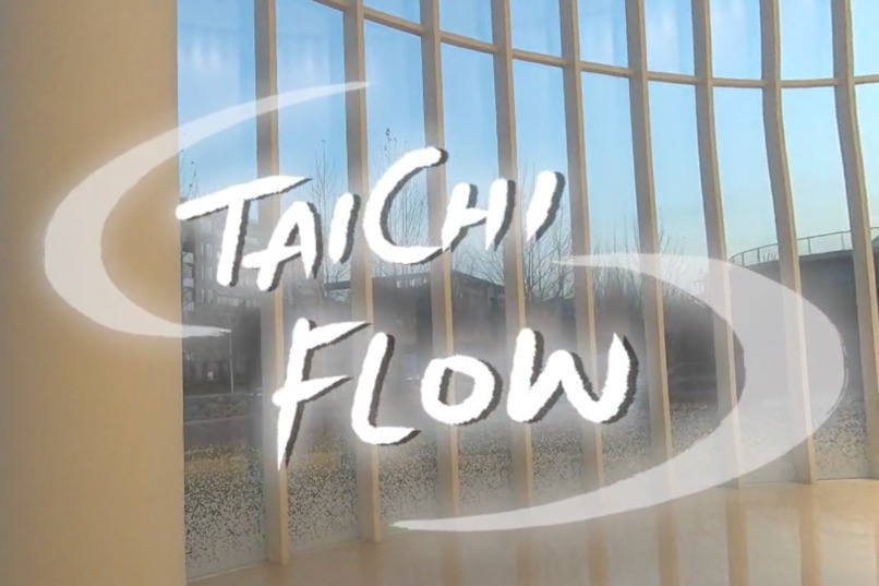 Taichi Flow – screenshot 1