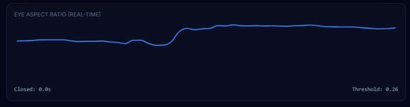 Safe-Drive AI – screenshot 2