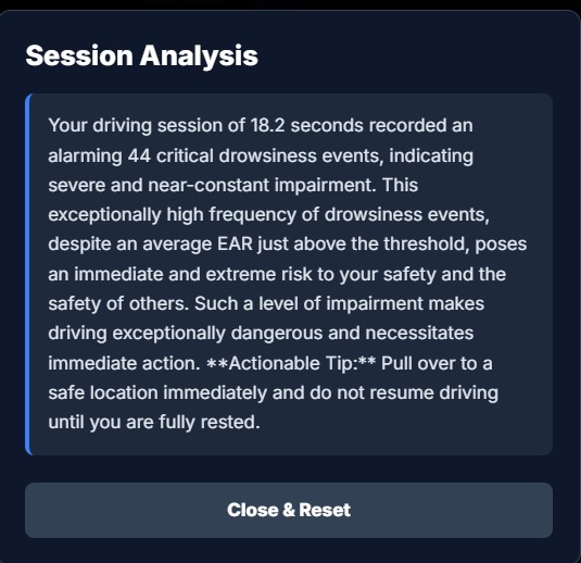 Safe-Drive AI – screenshot 3