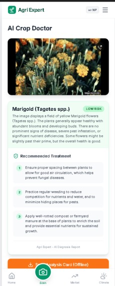 Agri Expert – AI-Powered Agricultural Intelligence for Nepal – screenshot 6