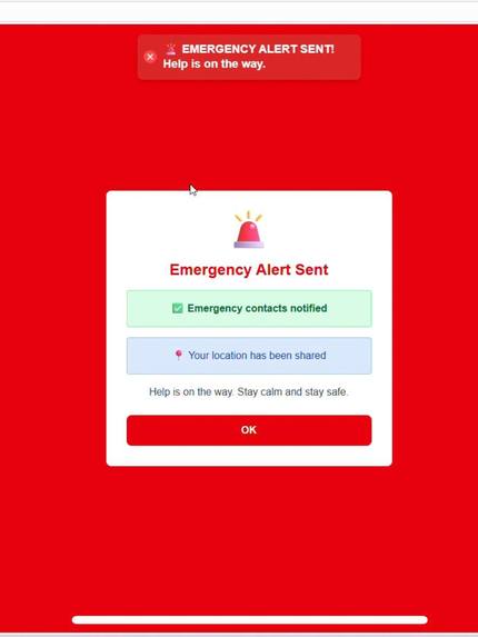 SilverCompanionSG – screenshot 5