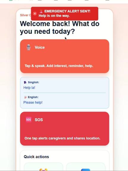 SilverCompanionSG – screenshot 8