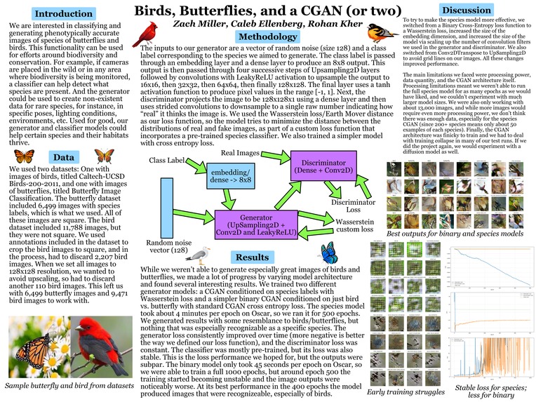 Species Generation CGAN – screenshot 1
