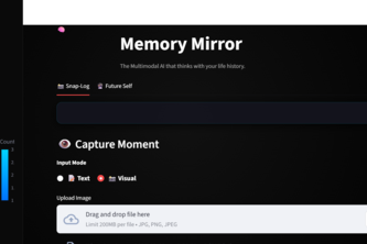 Memory Mirror