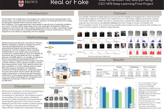Real or Fake