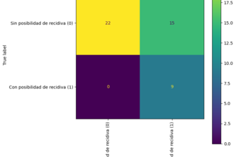 ML Predictivo: Recaída en Cáncer de Endometrio