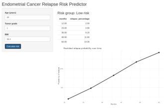 Personalized Relapse Risk Prediction for Endometrial Cancer