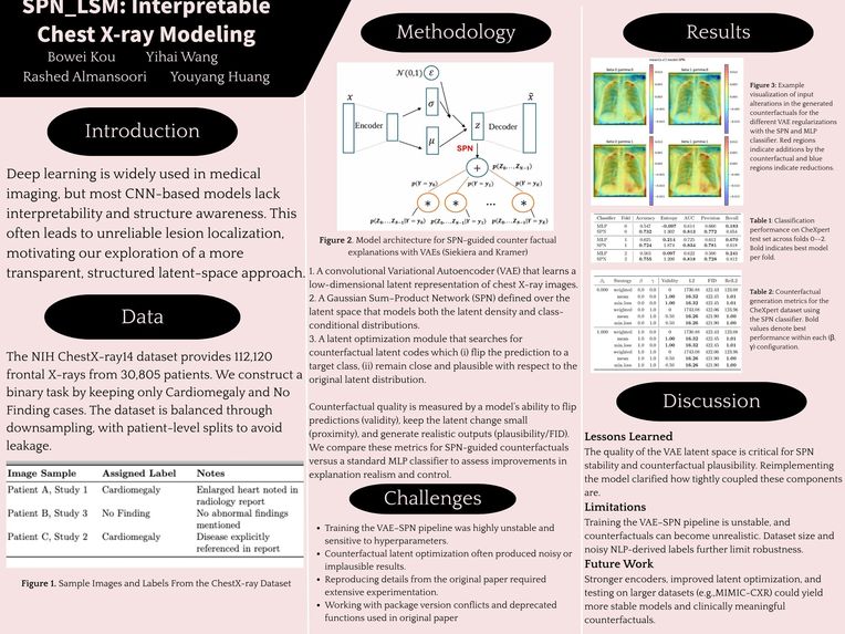 SPN-LSM for Chest X-ray Interpretability – screenshot 1
