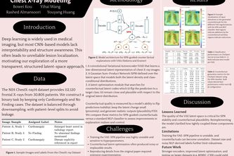 SPN-LSM for Chest X-ray Interpretability