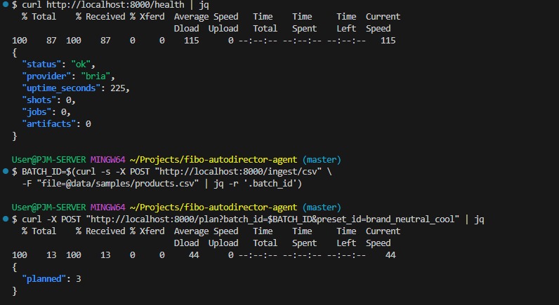 FIBO AutoDirector Agent – screenshot 2