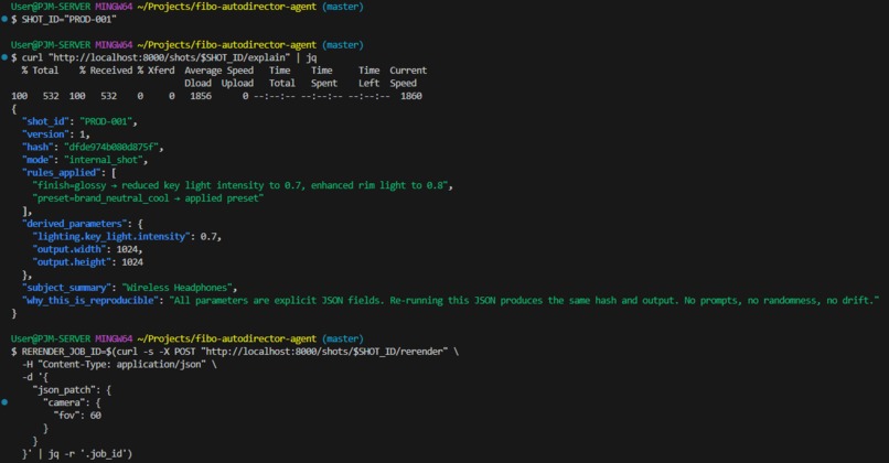 FIBO AutoDirector Agent – screenshot 5
